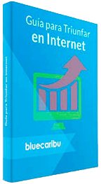 guía para triunfar en internet