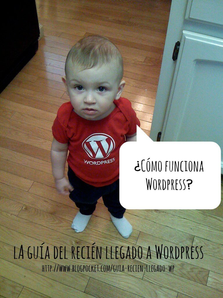 como funciona wordpress