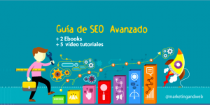 guía de seo avanzado